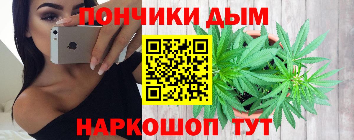 Касимов  Каннабис ГИДРОПОН  Бошки Шишки планчик  Вход с VPN  Бошки марихуана сатива 